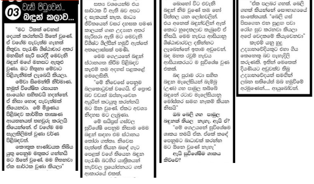 diyaniya news paper