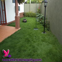 gardening sri lanka landscaping australian grass