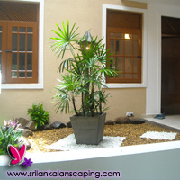 gardening sri lanka landscaping courtyard