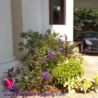 gardening sri lanka landscaping flower bucket