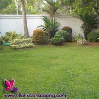 gardening sri lanka landscaping flower
