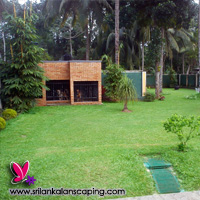 gardening sri lanka landscaping courtyard