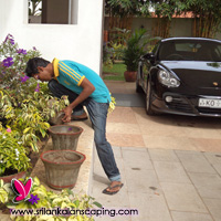 gardening sri lanka landscaping commercial