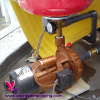 gardening sri lanka landscaping stone pebble