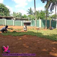 gardening sri lanka landscaping flower bucket