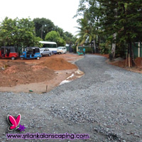 gardening sri lanka landscaping buffalo grass
