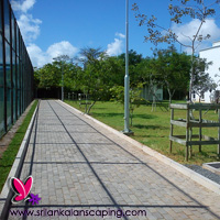 gardening sri lanka landscaping courtyard