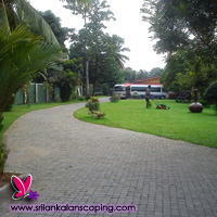 gardening sri lanka landscaping courtyard