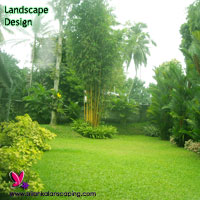 gardening sri lanka landscaping turfing grass lawn