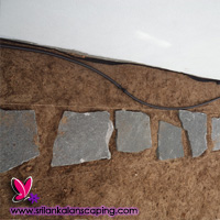 gardening sri lanka landscaping pawing interlock