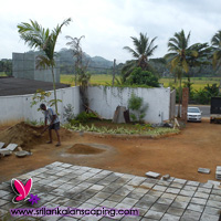gardening sri lanka landscaping australian grass