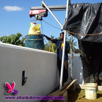 gardening sri lanka landscaping flower