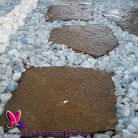 gardening sri lanka landscaping courtyard